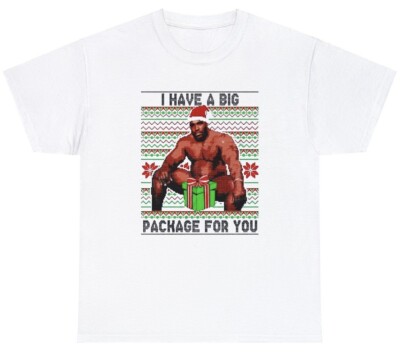 Mens I Have A Big Package For You T Shirt Funny Meme