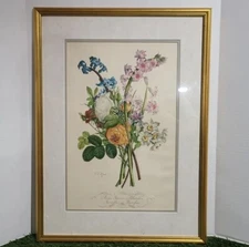 Vintage Jean Louis Prevost Framed Print No. 8 Roses Jaunes Blanches Circa 1930s