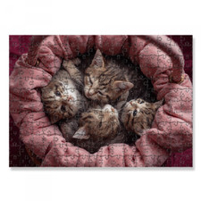 PUZZLE GATTINI CESTA VIMINI BAMBINI ADULTI IDEA REGALO FESTA ORIGINALE GATTI