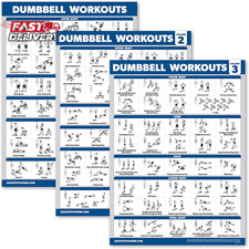 Palace Learning 3 Pack - Dumbbell Workout Posters for Home Gym - Volume 1, 2  3