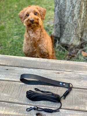 Extra Long Line Dog Training Leash Lead / Custom / Waterproof / Handmade in Aus