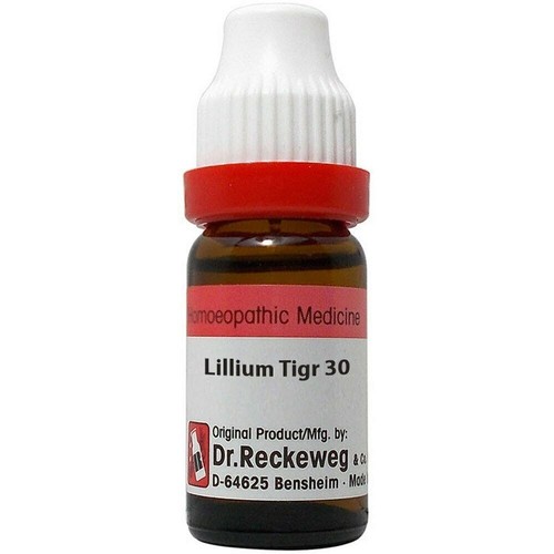 Dr. Reckeweg Lilium Tigrinum Dilution 11ml Choose Potency Fast Ship - Picture 4 of 6