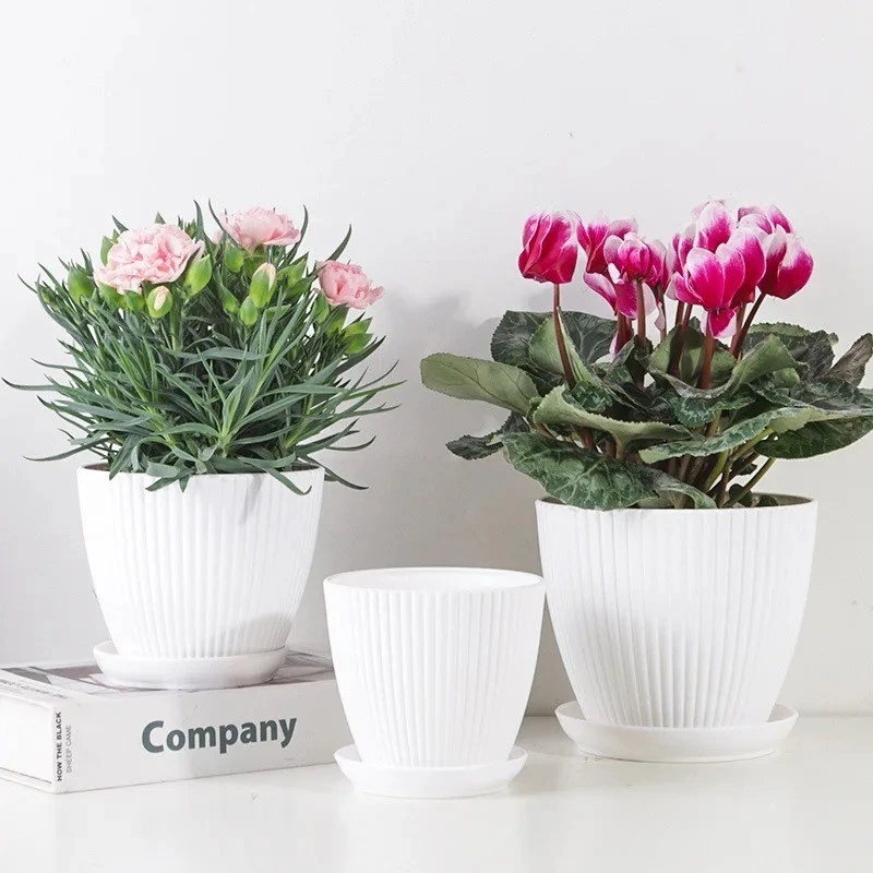 Plant pot in use