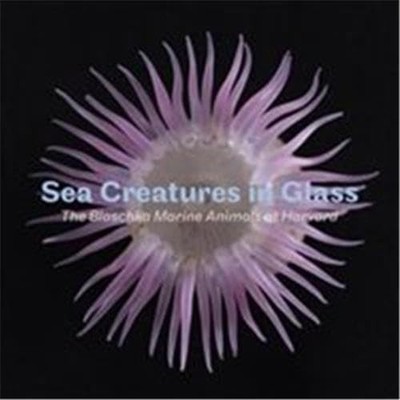 Sea Creatures in Glass: The Blaschka Marine Animals at Harvard