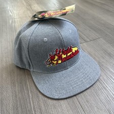 World Industries Hat Cap Snap Back Mens One Size Gray Devil Logo Skate Graphic