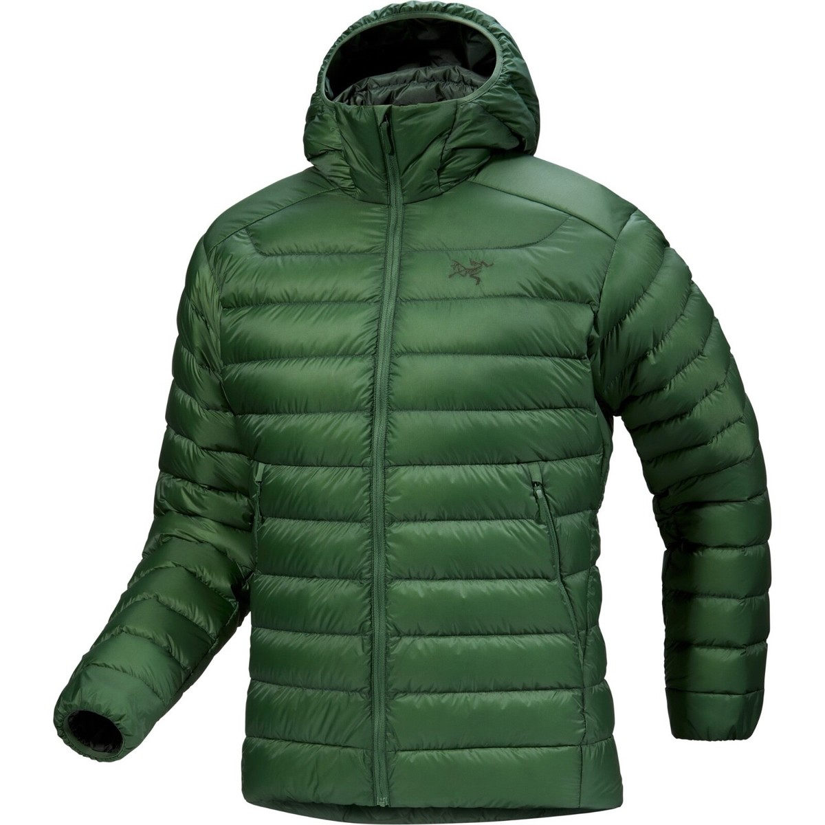 ARC'TERYX アークテリクス CERIUM JACKET EDEN S NWT Mens Arc'teryx Eden Green Cerium Hoody Puffer Down Coat Jacket