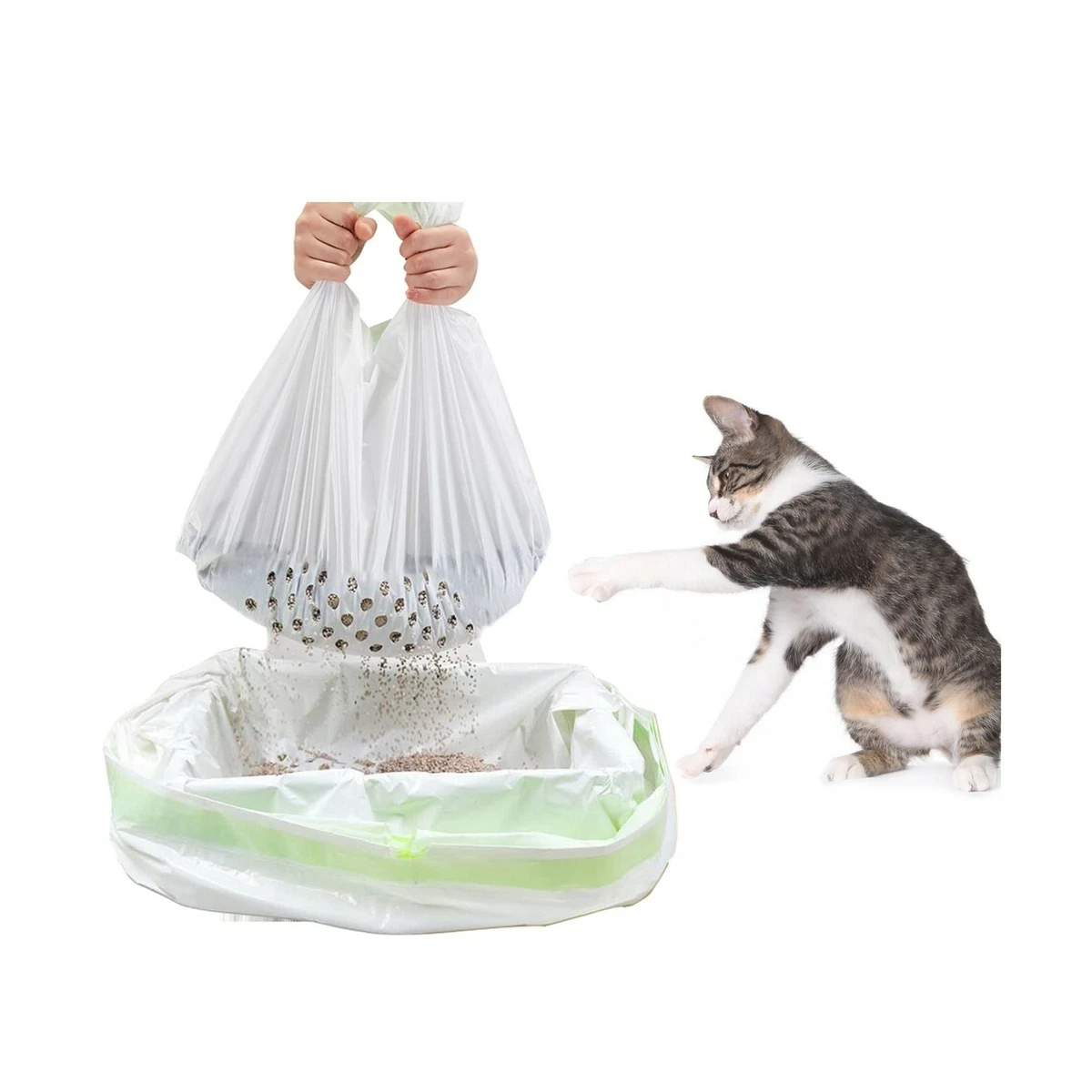 Details 128+ large bags of cat litter best kidsdream.edu.vn