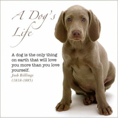 A Dog's Life By Unknown