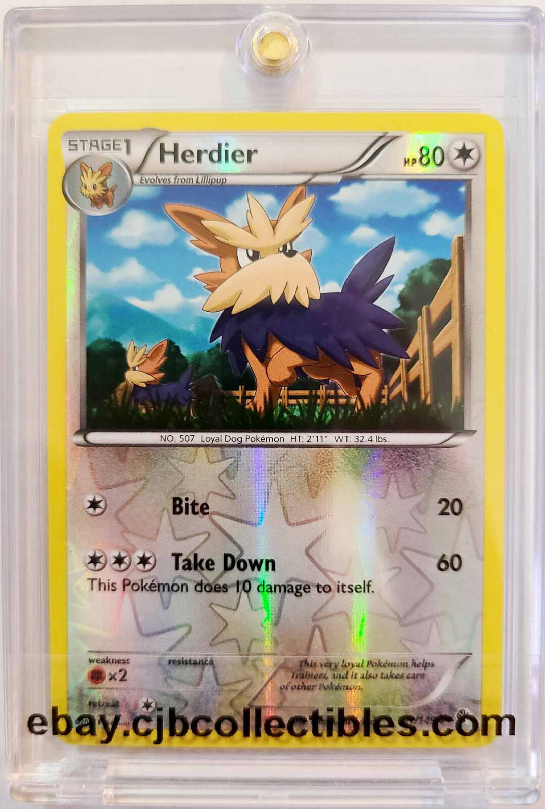 Pokémon HERDIER 121/149 Reverse Holo Boundaries Crossed - Light Play 🍒