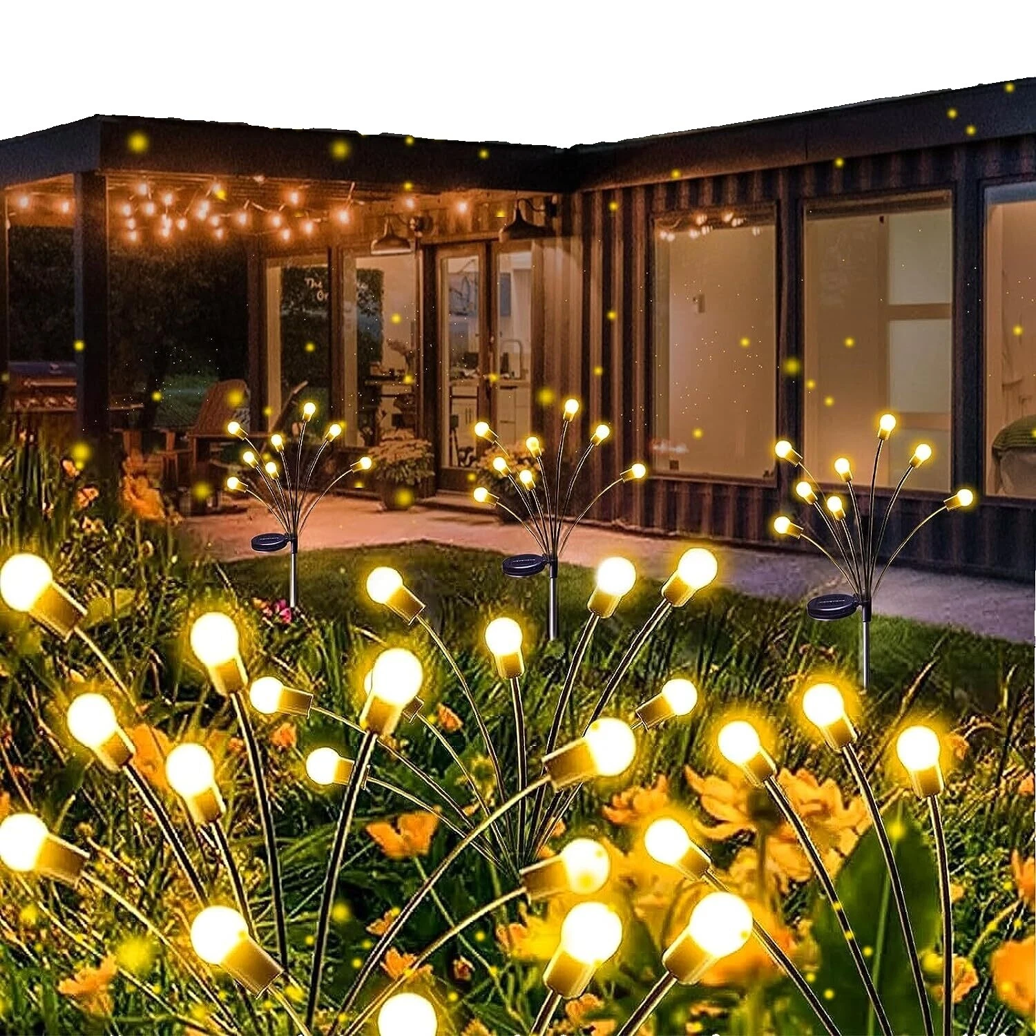 NOVEDAD atardecer al amanecer pasarela y luces de trayectoria