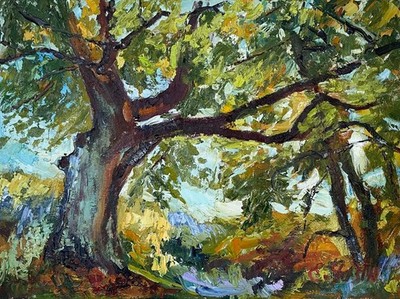 Original Oil Painting Olive Tree Mediterranean Landscape Art Canvas 12 x 16