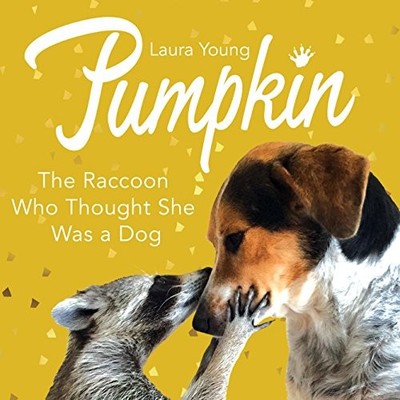 Pumpkin: The Raccoon Who Thought She Was a Dog,Laura Young