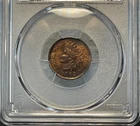 1902 Indian Cent PCGS MS63 BN Amazing Color and Toning!