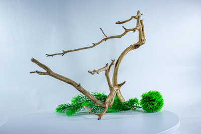 Manzanita Aquarium Driftwood Branch: Aquascape, Reptile, Bonsai, Home Decor 19''