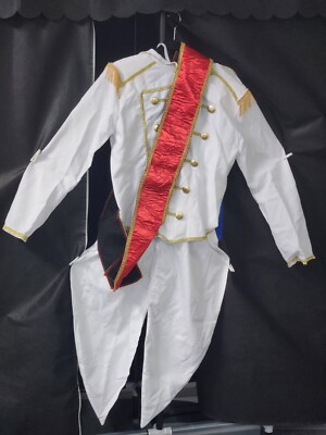Prince Charmin Fancy Adult Custome Cosplay Man