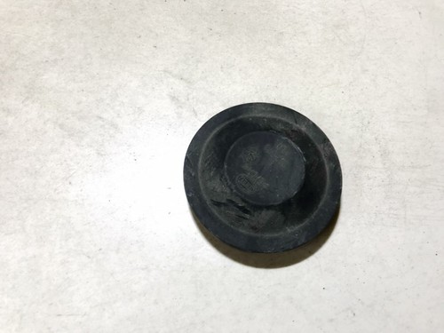 153873 Abdeckung (scheinwerfer Glühlampe Staub Kunststoffdeckel) DE1005620-01