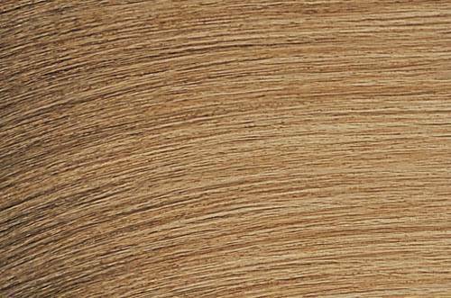 Toner Gloss 2oz (choose Your Shades)
