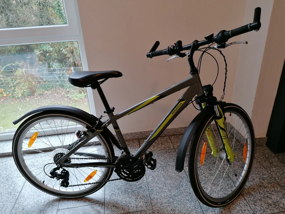 Pegasus Fahrrder mit 26 Zoll Pegasus Avanti online kaufen | eBay.de