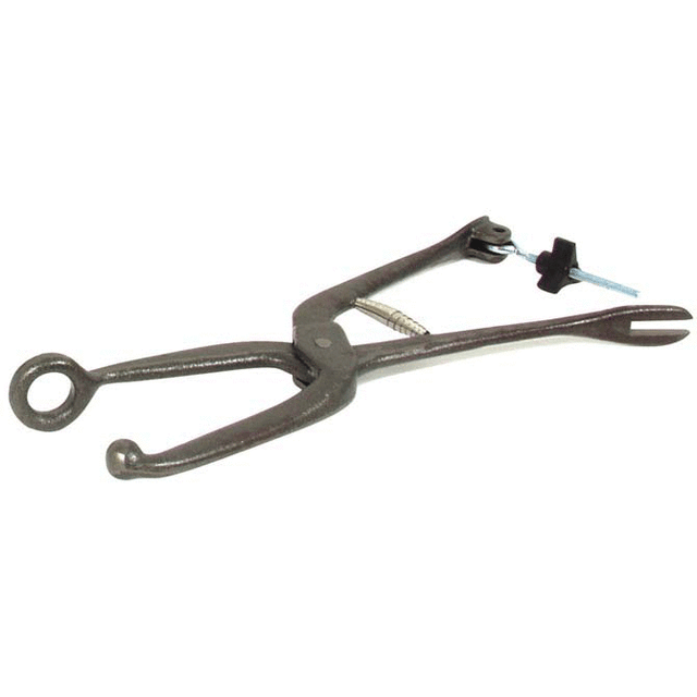 shoe stretching tool
