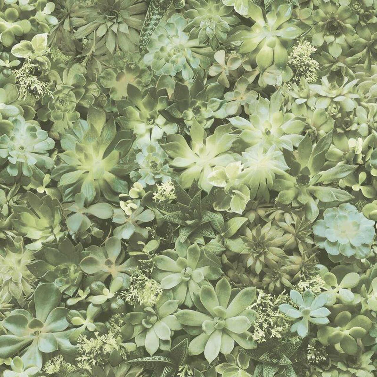 Galerie Evergreen Green Leaves Wallpaper Botanical Paste The Wall Vinyl