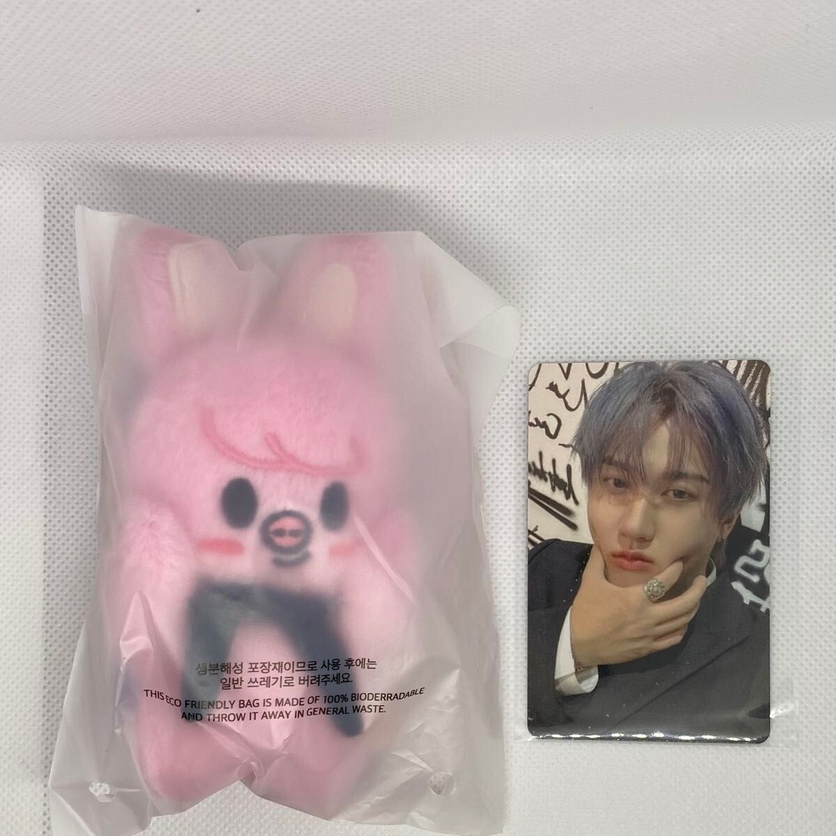Stray Kids Changbin dominATE SEOUL SKZOO MAGNET PLUSH