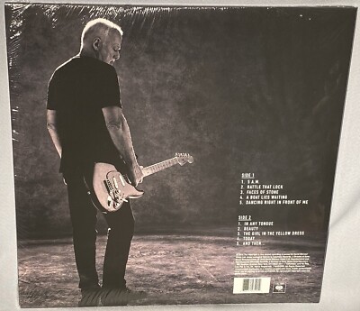 David Gilmour Rattle That Lock レコード LP LP DAVID GILMOUR