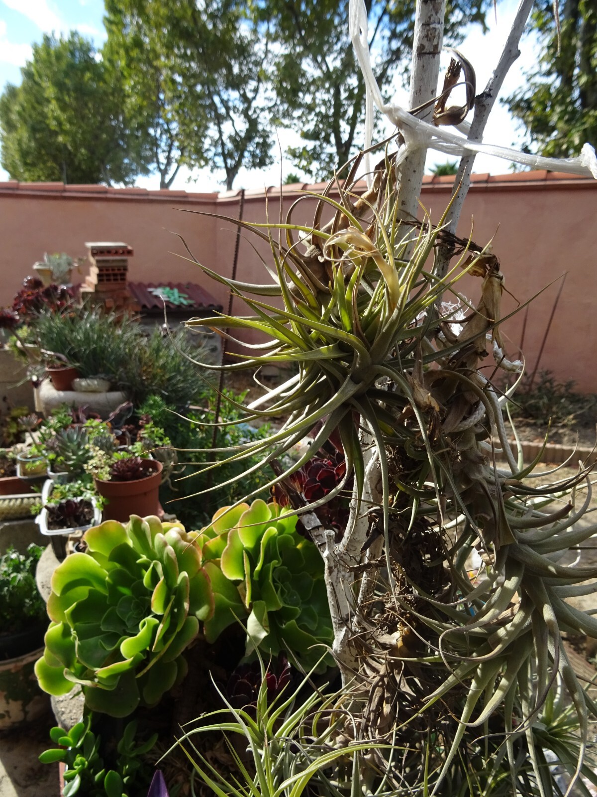 Picture 17 of 23