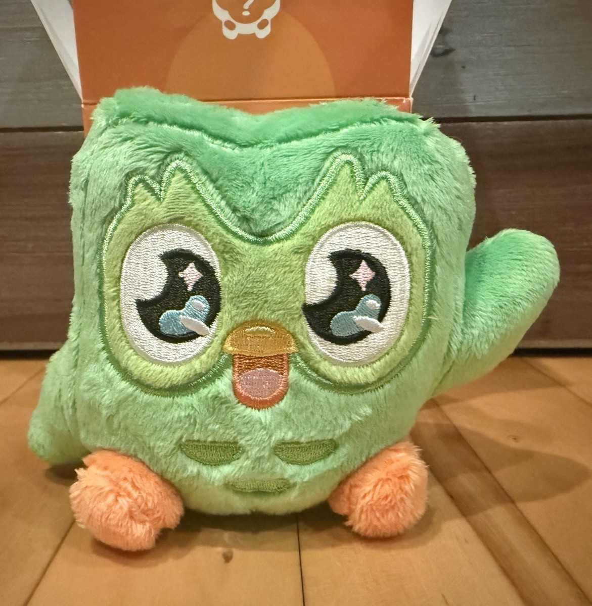 New Duolingo Mystery Kawaii Anime Duo Blind Box Plush Figure Bag