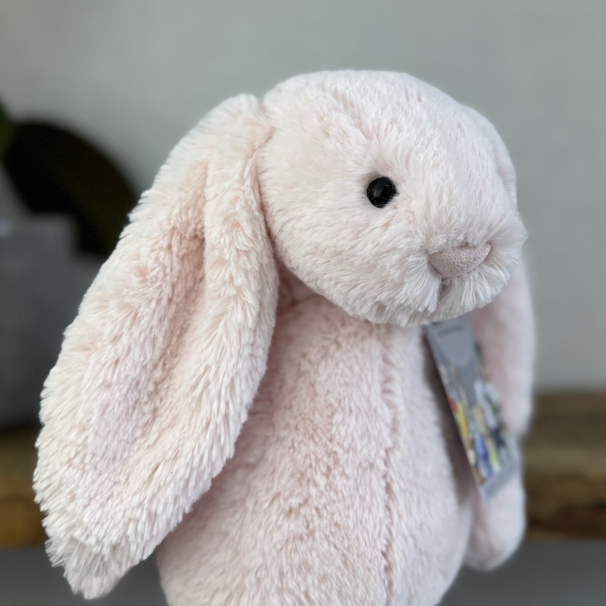 Jellycat Medium Bashful Baby Pink Bunny - Baby Pink Little