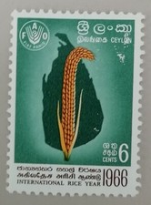 TIMBRE STAMP CEYLON CEYLAN ANNE INTERNATIONEL DU RIZ 1966 INTERNATIONAL RICE YEA