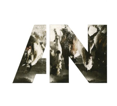 AWOLNATION / RUN