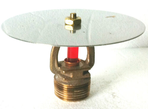 Rack Storage Std Response Brass Upright Sprinkler Heads 3/4" NPT,155*F - Afbeelding 1 van 1