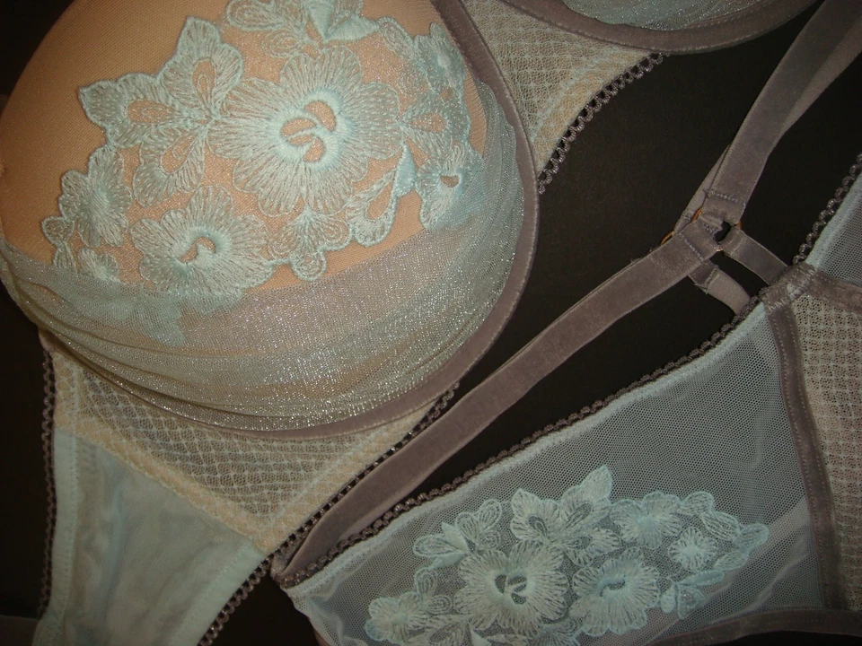 Victoria's Secret 34DD SUJETADOR CONJUNTO M Tanga Panty AZUL Gris Terciopelo Beige Bordado Foto 2 de 3
