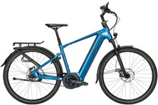 Zemo ZE 5F  E-Bike 53 cm, 180 kg Riemenantrieb