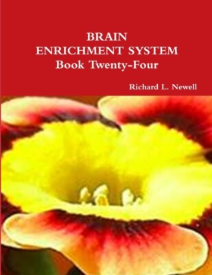 Newell - BRAIN ENRICHMENT SYSTEM Book Twenty-Four - New paperback or s - X555z