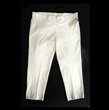 Rebecca Malone Woman 3X Beige Stretch Pull On Pants 28” Inseam NEW WITH TAGS