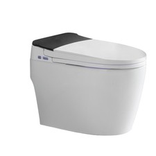 ACiQ Smart Toilet, One-Piece with Bidet, Auto Flush, Heated Seat, LED Display