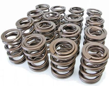 Skunk2 Alpha Dual Valve Spring Set for Honda K20 K24 F20C F22C