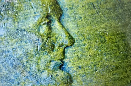 1953 D Lincoln Wheat Cent Woody AU Wood Grain Penny Improper Alloy Mix Error