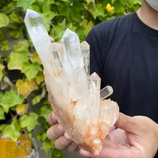 630g Natural White Clear Quartz Crystal Cluster Raw Healing Specimen