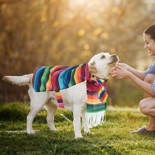 Vêtements soldes De Chien Multicolore Costumes Pour Animaux Compagnie Confortable