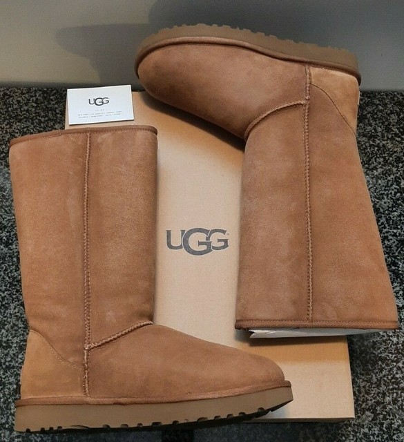 ebay uggs size 8.5