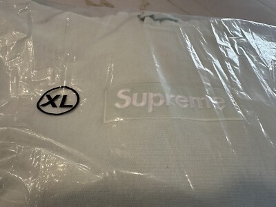 Supreme Box Logo Hoodie Light Green Mint FW23 Size XL Brand New | eBay