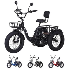 Narrak Electric Folding Tricycle, Etrike 750W Motor 48V13Ah Removable Battery.