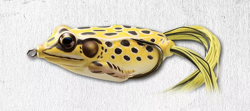 Live Target Hollow Body Frog 65 - Yellow Black 2 5/8 3/4 oz Topwater Bass  Lure