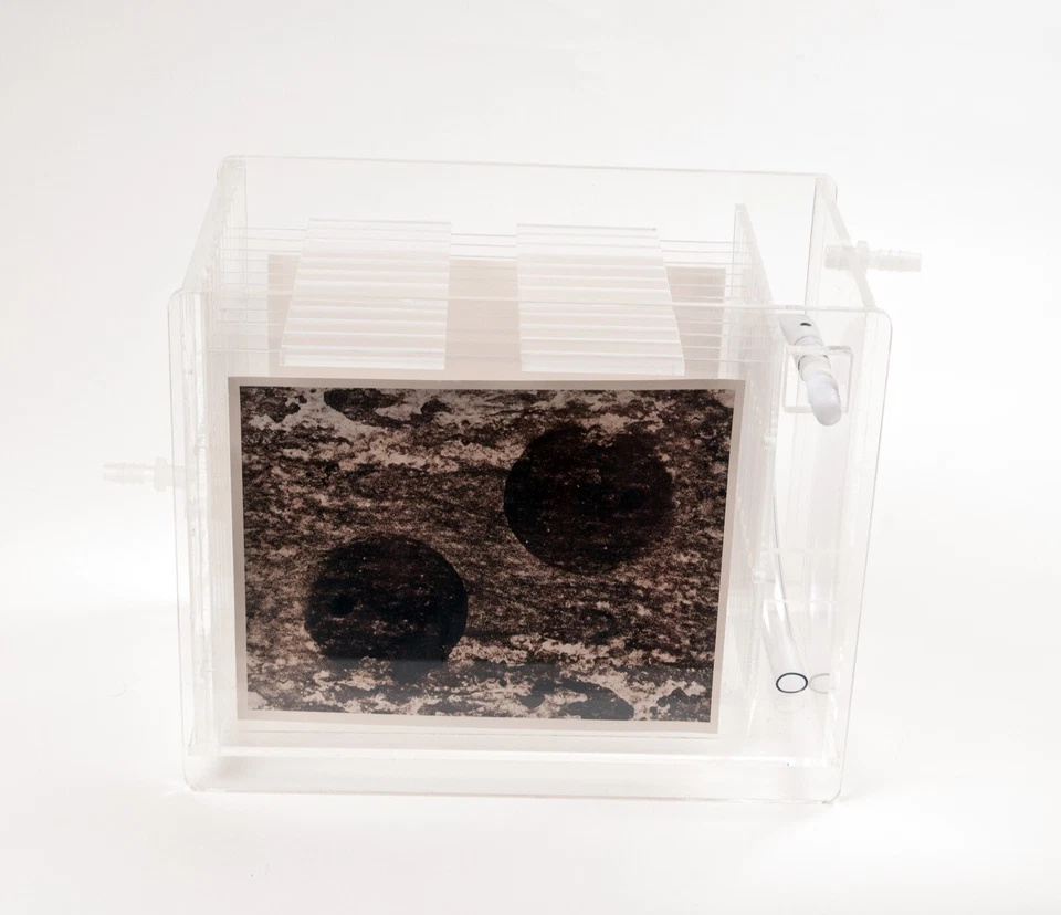 Nova lavadora de impressão de arquivo 12 slots eficiência hídrica ecológica 8x10 - Imagem 3 de 4