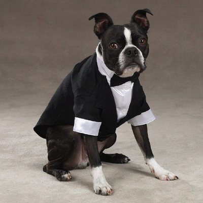 East Side Collection Dog TUXEDO Satin Yappily Ever After Groom Wedding Hook/Loop