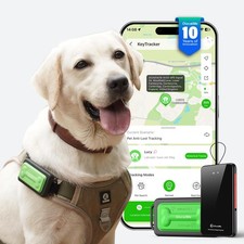GlocalMe KeyTracker GPS Tracker for Dogs, Global Unlimited Range Pet Tracker ...