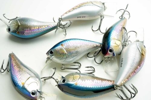 LUCKY CRAFT LC 3.5 - 270 MS American Shad (1 cantidad) Cebo de manivela de alta calidad - Imagen 3 de 4