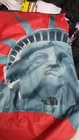 Sac à dos rouge imperméable FW19 Supreme x The North Face Statue of Liberty sac TNF 